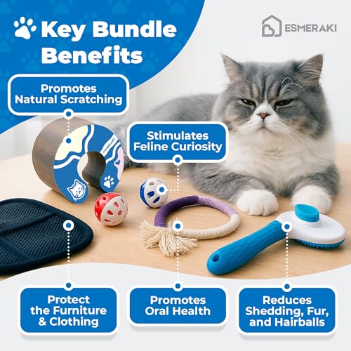 Flexible Cat Scratcher 5-Piece Bundle, Interactive Ball Track Cat Toy