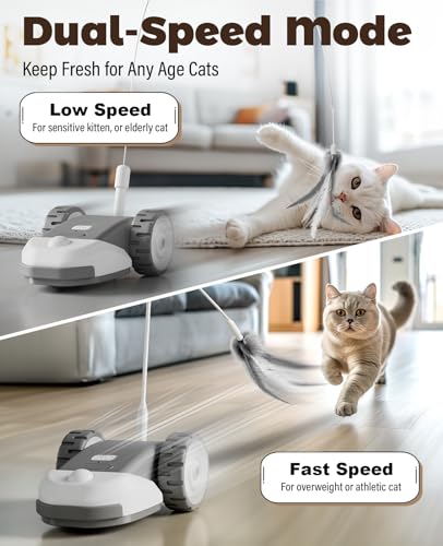 CYROS 3-in-1 Interactive Cat Toy - 2-Speed Automatic Moving Mouse Cat Toys Self Play with 2pcs Hanging Feather String Ribbon and Wiggly Silicone Mice Tail for Bored Indoor Adult Cats Kittens - color: Grey