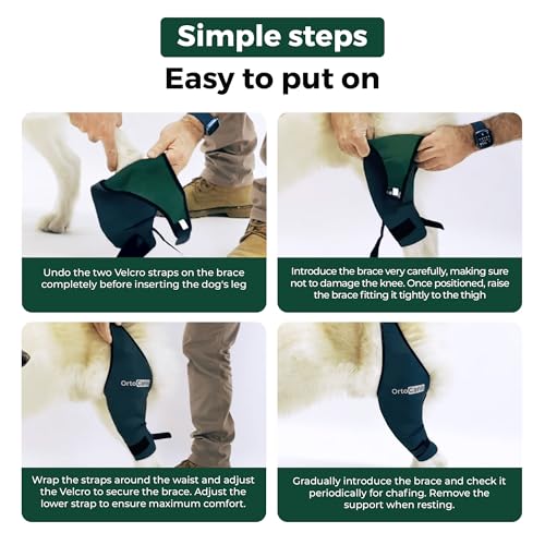 Ortocanis Dog Knee Brace for Hind Leg Support – (XXS, Right Leg) - size: Size XX-Small (7,5- 8,2 ")