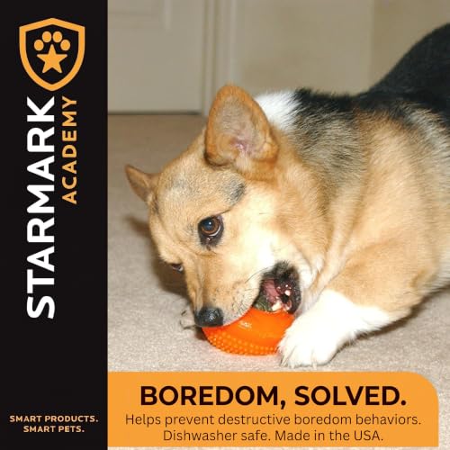 Starmark Everlasting Treat Bento Ball Tough Dog Chew Toy Small - size: Small