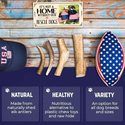 Devil Dog Pet Co Whole Elk Antlers for Dogs, Small 2 Pack, Long Lasting - style: WHOLE - Small - 2 Pack