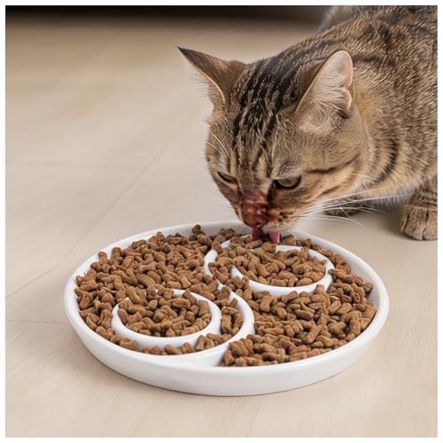 Ceramic Cat Slow Feeder,Shallow and Wide Opening Dish for Whisker Friendly