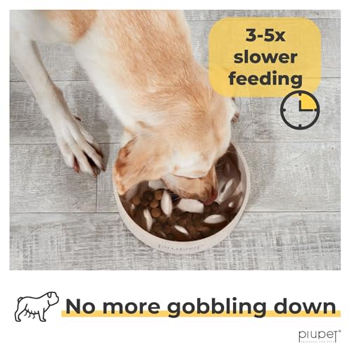 PiuPet Slow Feeder Dog Bowl (27 fl oz) - size: 27 fl oz