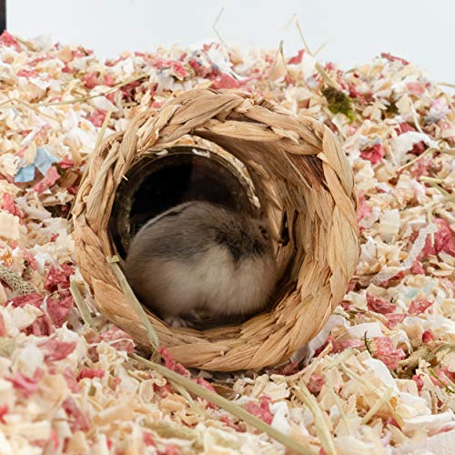 Niteangel Creative & Composable Hamster Tunnel: Edible Water Hyacinth & DIY - size: SHLD