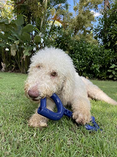 SuperChewer Tough Tug Pull Toy | Lifetime Replacement | Strong Natural Rubber | Interactive Tug-of-War Toy for Dogs | Ultra Durable Chew Toys for Aggressive Chewers | For Medium & Large Breeds - size: Large
