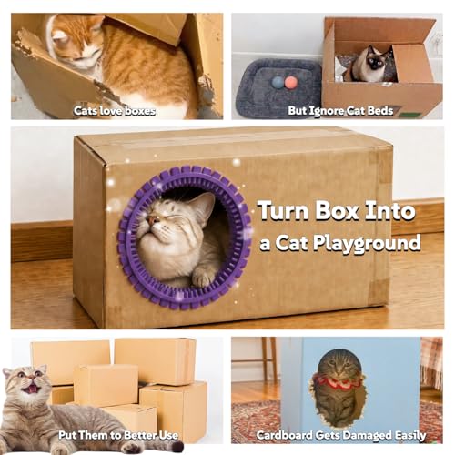 Cat Self Groomer Arch for Cardboard Boxes (Lavender | Start Kit) - color: Lavender