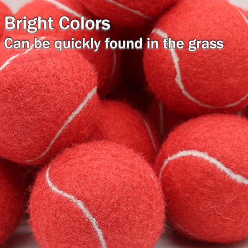 SHYUJAJIE Tennis Ball,20 Pack Practice Balls Bulk,Dog Balls with Mesh Bag - color: Red