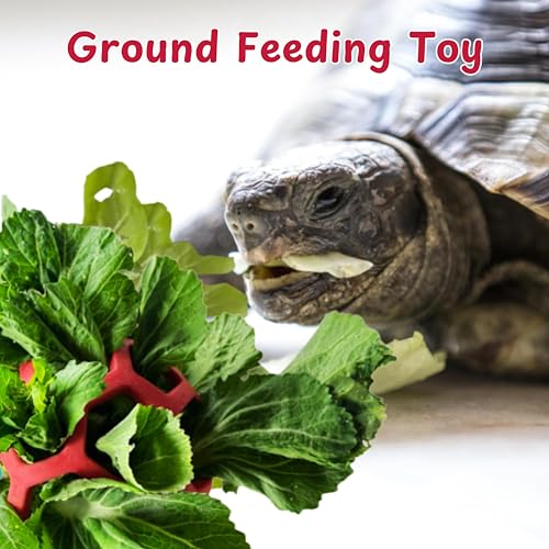 5.5in Turtle Feeder Ball with Chain, Hanging Tortoise Treat Ball, Turtle Enrichment Toys, Turtles Hay Feeding Balls, Foraging Food Toy for Small Pet Rabbit Guinea Pig, Tortoise Accessories (Red, L) - color: Red, L