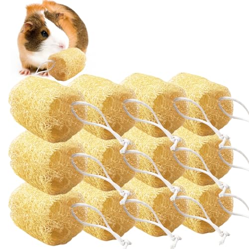 12 Pcs Rabbit Chew Toys Natural Bunny Loofah Chew Toy Chinchilla Teeth Grinding Toys Guinea Pig Fibre-Rich Treats Enrichment Bunny Accessories for Rabbits Hamster (M)