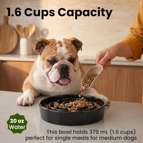 Ceramic Slow Feeder Dog Bowls 1.6 Cups for Medium & Small Fast Eaters,Black - color: Black, size: M - 1.6 Cups