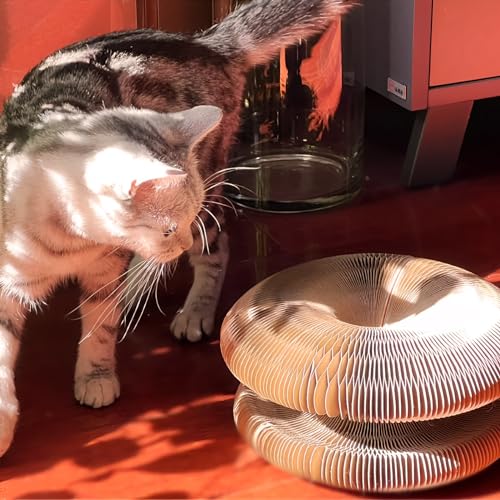 Magic Organ Cat Toy, 1PC Scratching Board