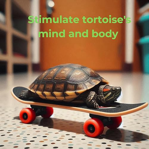 Tortoise Treat Ball and Training Skateboard Toy Set, Turtle Feeder Ball and Funny Skateboard, Tortoise Toy Feeding Balls Dry Food for Small Animals Pets Tortoises Turtles (Orange Dry Food)