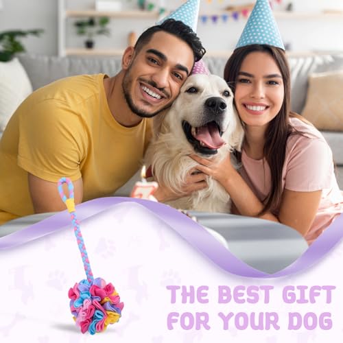 Snuffle Ball Dog Rope Toy, Tug of War Rope Toys for Small Medium Dogs, Interactive Dog Chew Toys Puppy Training Pull Toy for Exercise & Interactive Play Games (Blue) - color: Blue