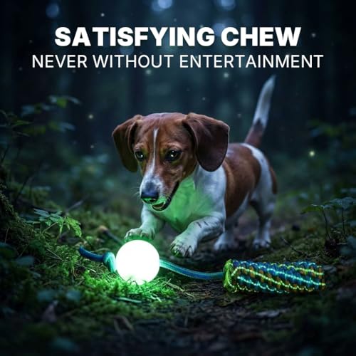 Knot Rope Dog Chew Toys, Glow in the Dark Dog Tug Toy with queaky Ball - color: Comet Ball