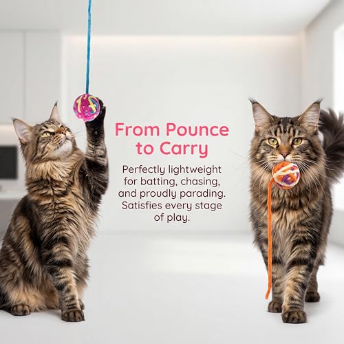 3 Pack Color Random Cat Yarn Balls - color: B