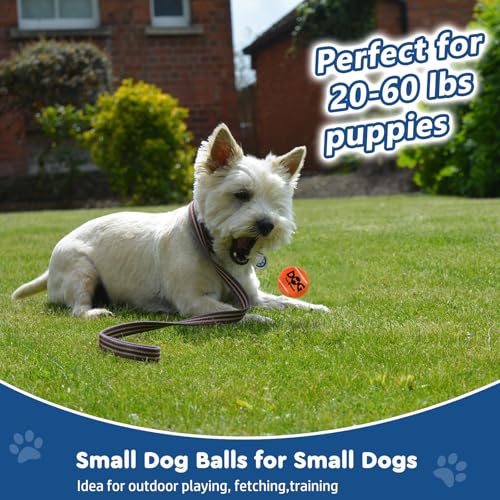 INSUM Small Tennis Balls for Dogs - 2 Inch 40 Pack Squeaky Dog Balls - color: Yellow, size: Small - 40PK