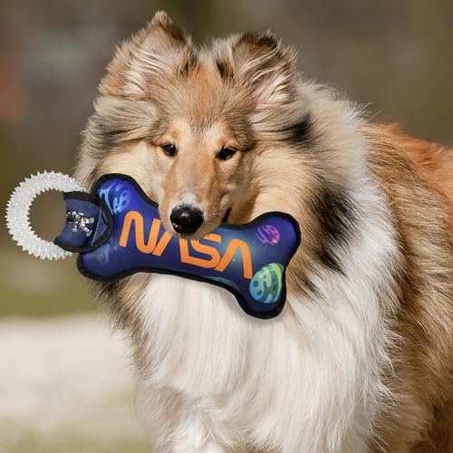 Pets First NASA Dog Toy with Planets. - Tough Nylon Pet Toy with Double Trim Stitching & Inner Squeaker - style: Dental Toy- Planets