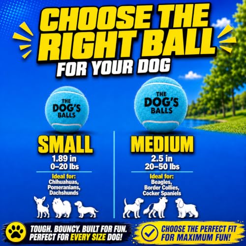 The Little Dog’s Balls Small Dog Tennis Balls 6-Pack Blue Floats in Water - color: Blue, size: 6 Small Tennis Balls