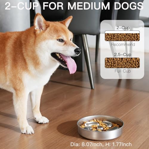 Feedoo Slow Feeder Dog Bowl-2Cups for Medium Breeds, Double-Layer Stainless Steel, Heavy-Duty with Non-Slip Rubber Base, Puzzle Maze Bowl to Slow Down Eating [2Pack] - color: Spiral-2Pack, size: M 2~2.5Cups