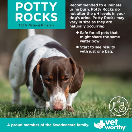 Vet Worthy Potty Rocks - Dog Rocks for Water Bowl to Prevent Grass Burn