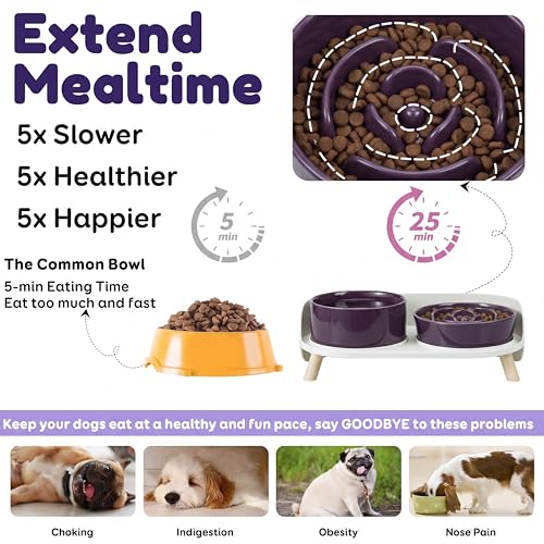 Elevated Slow Feeder Dog Bowls with Splash Proof Stand, Slow Eating 5X - color: Purple