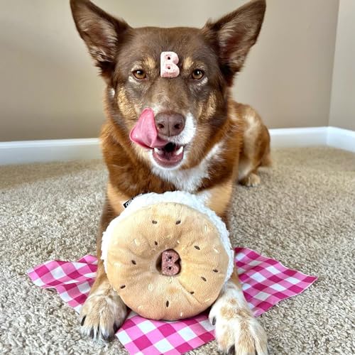 CHEWFFON Dog Squeaky Toy, Interactive Bagel Shape Puzzle Toy - style: Bagel