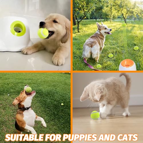 X-Small Dog Tennis Balls Dog Toys Ball 1.72" Pack of 12, Fit Ball Launchers - color: Glow-in-the-dark colored tennis balls-12pcs