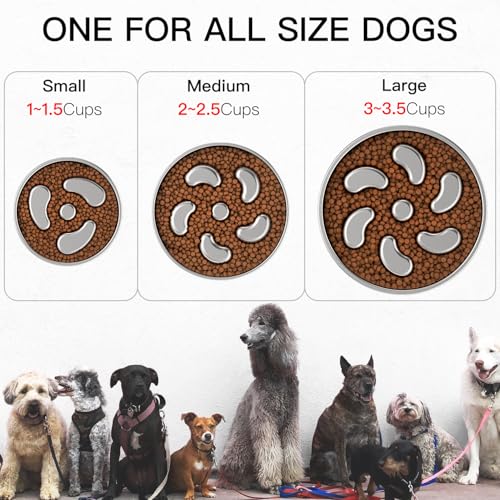 Feedoo Slow Feeder Dog Bowl-3Cups for Large Breeds, Double Wall Food-Grade Stainless Steel, Heavy Duty with Non-Slip Rubber Base, Puzzle Maze Bowl to Slow Down Eating [2Pack] - color: Spiral-2Pack, size: L 3~3.5Cups