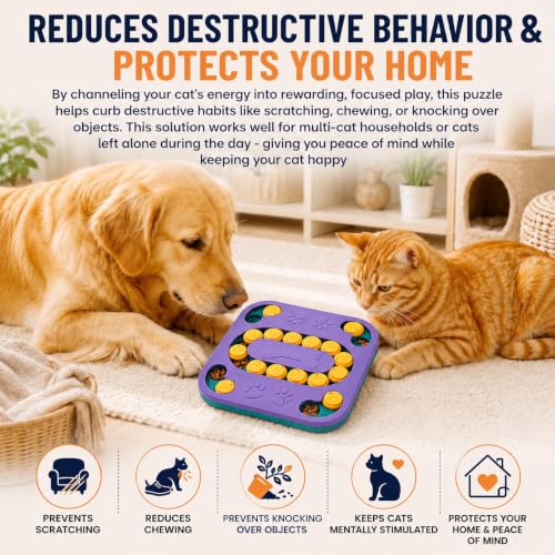 Cat Puzzle Toy, Treat Dispenser & Slow Feeder for Cat and Dog (purple) - color: purple