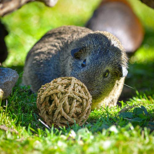 8 Pcs Small Animals Play Balls Rolling Activity Chew Toys Gnawing Treats for Rabbits Guinea Pigs Chinchilla Bunny Natural Balls, Pet Cage Entertainment Accessories (8 Pcs+ Pine Cone) - color: 8 Pcs+ Pine cone