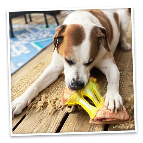 Doggijuana Tuffer Chewer Dog Toy, Grilled Cheese | Plush, Squeaky - size: Standard, style: Grilled Cheese