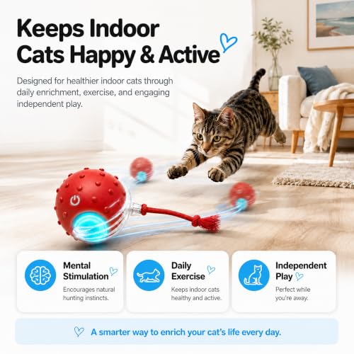 AWISH Cat Enrichment Toy, Interactive Rolling Ball for Indoor Cats - color: RED