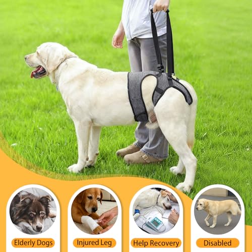 LIANZIMAU Dog Sling for Large Dogs Adjustable Hind Leg Support Lift Harness Senior Canine Mobility Aid Carrier for Back Legs Walking Rehabilitation - color: Grey, size: M（Waist:18"-21")