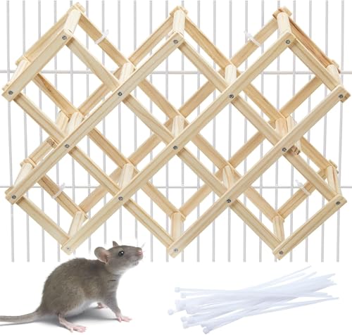 Kiln-Dried Wood Rat Climb Toy, Hanging Cage Ladder Activity (L, 1pc) - style: L, 1pc