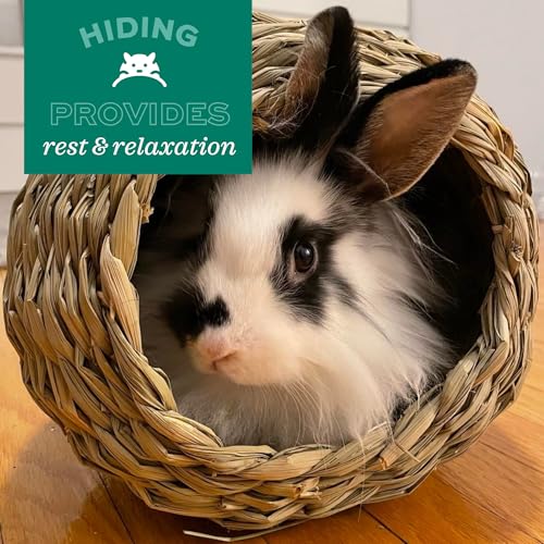 Oxbow Timothy Hay Bungalow, Guinea Pig Hideout & Rabbit House, Medium - size: Medium (Pack of 1)