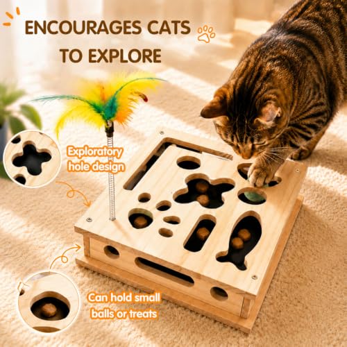 Cat Scratch Puzzle Enrichment Box