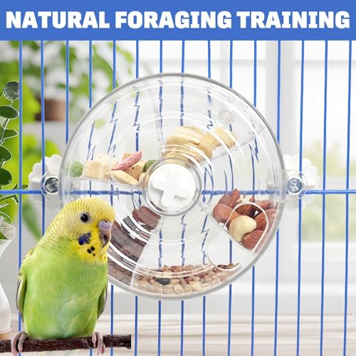 BNOSDM Bird Foraging Toy, Enrichment Parrot Puzzle Toys Transparent - color: White