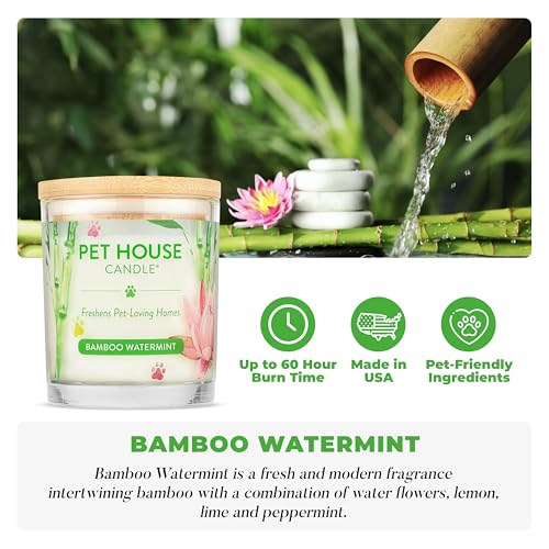 Bamboo Watermint Candle Pet Friendly Plant-Based Wax, 2 Pack Pet House - color: Bamboo Watermint, size: Pack of 2