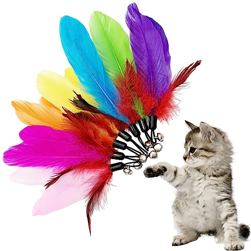 Cat Feather Toys Refill, 16 Pieces Cat Wand Replacement Feathers Toy for Indoor Cats - color: 16PCS Cat Feather Toy Refills