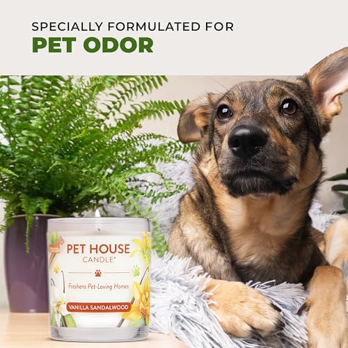 Fresh Citrus Scented Candle, Plant-Based Wax Candle, 2 Pack, Pet House - color: Fresh Citrus, size: Pack of 2