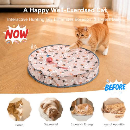 Cheerble Interactive Cat Toys 2 in 1, Automatic Moving Cat Ball with Tail & 7 Holes Play Mat, Hide and Seek Mouse Catching Game for Indoor Cats, Motion Activated Rechargeable Chirping Kitten Toys