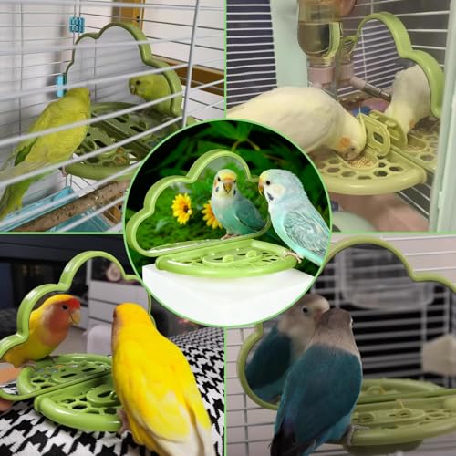 Bird Mirror with Perch Stand & Slow Feeder,Parrot Toys Swing(Green) - color: Green Cloud