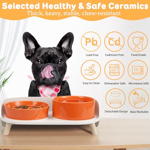 Elevated Slow Feeder Dog Bowls with Splash Proof Stand, Slow Eating 5X - color: Orange