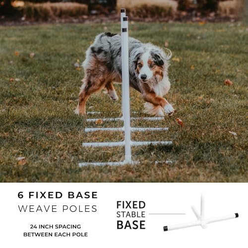 Better Sporting Dogs Elite Agility Set for Dogs, 7Pc Kit