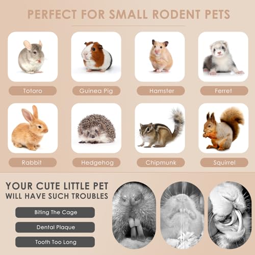 Bissap 3 PCS Rabbit Chew Toy, Bunny Cage Hanging Chew Toys Treats Rattan Ring with Snacks Water Grass Wooden Block Carrot for Guinea Pigs Chinchillas Hamsters Rats and Other Small Pets Teeth Grinding - size: 3 PCS