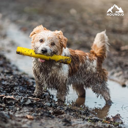 Playology Hound2O Fetch Stick Dog Toy - Outdoor Dog Toy - Yellow - color: Yellow