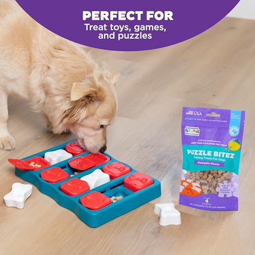 Outward Hound Nina Ottosson Puzzle Bitez Dog Treats, Pumpkin, 7.5 Ounce (Pack of 6) - size: 7.5 Ounce (Pack of 6), style: Pumpkin
