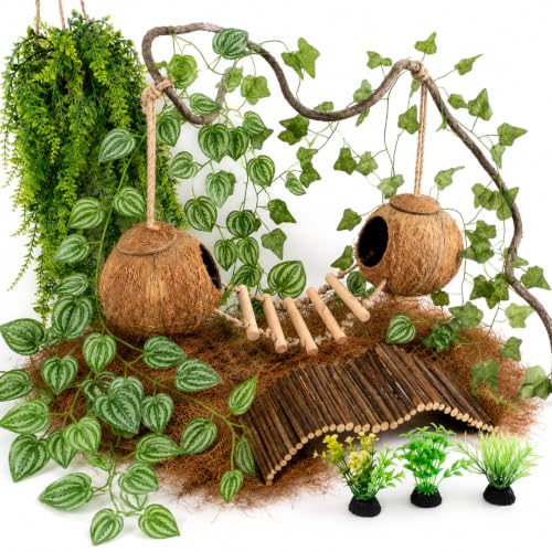 RUNANIA Crested Gecko Tank Accessories, Reptile Hanging Plants Vines with Natural Double Coconut Hideout & Climbing Ladder Decor for Hermit Crab Lizard Leopard Gecko Chameleon Snake Terrarium Decor - size: Large