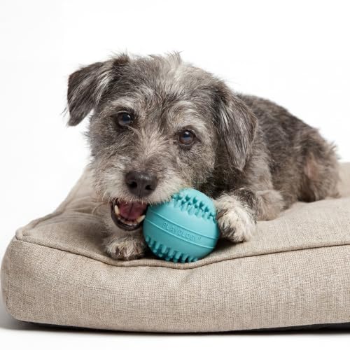 Playology Dental Chew Ball Toy for Senior Dogs- Medium, Peanut Butter Scent - size: Medium Chew Ball, style: Peanut Butter