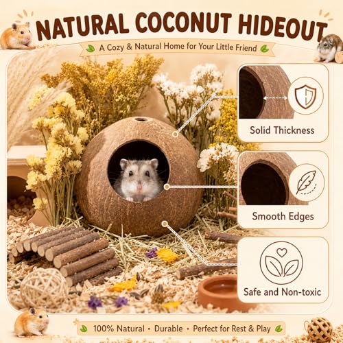 Novabright 5 Pcs Hamster Wooden Platform Set Including Hideout Climbing Tunnel Platform Coconut Hut Hamster Bed Flexible Fence Bridge Wooden House Cage Accessories for Small Animal Dwarf Syrian - style: Hideout Tunnel Set